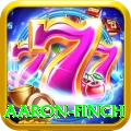 aaron finch Turbo Pro v2.1.0
