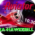 antigua hawksbill Max Pro v4.1.5