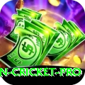 australian cricket Turbo PK v3.1.3