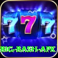bbl big bash apk Games (Casino & Earning) Pro v1.6.6