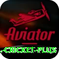bbl cricket Games Deluxe