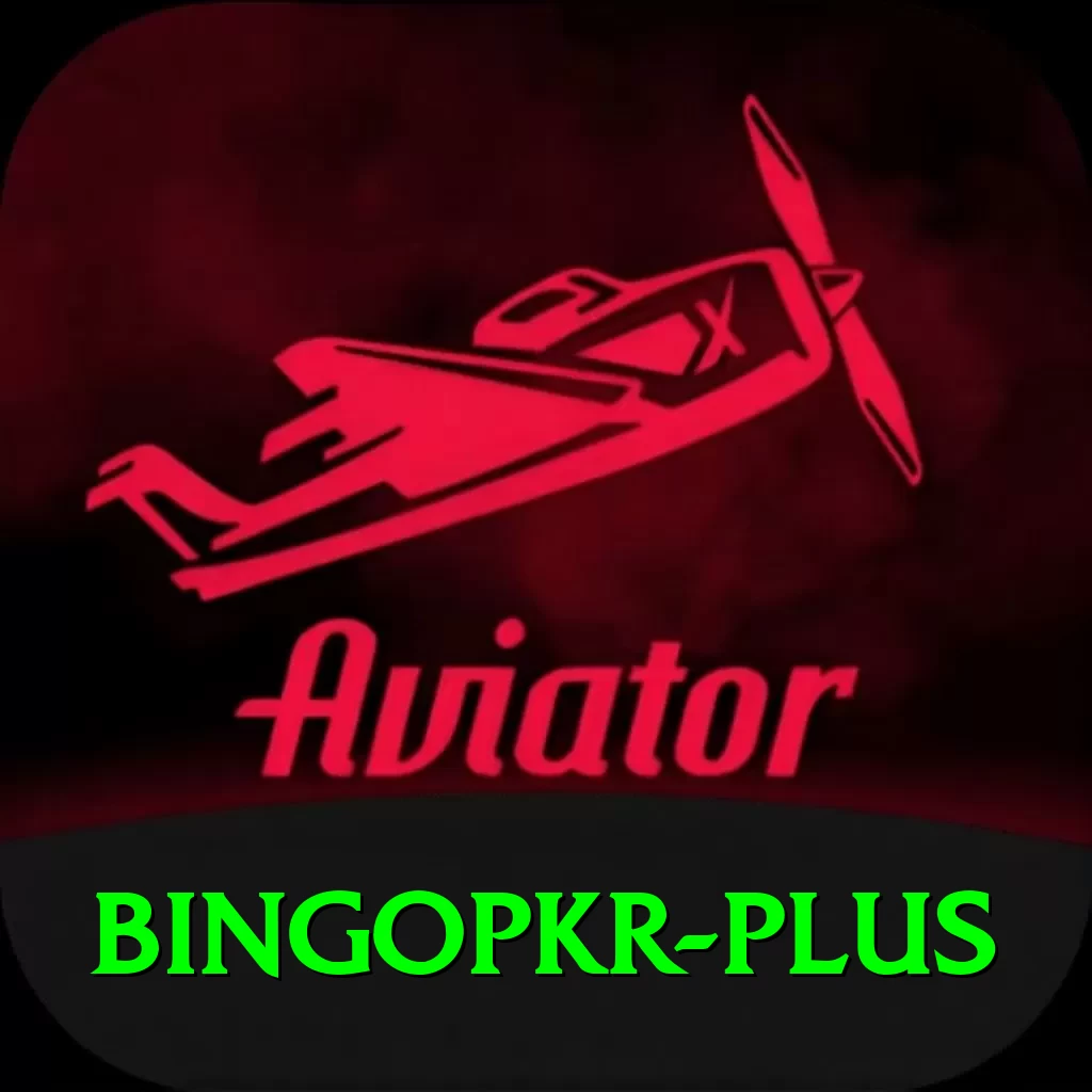 bingopkr Pro Edition v2.3.2 - 2