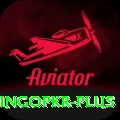 bingopkr Pro Edition v2.3.2