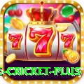 cricbuzz live cricket Mega Casino App