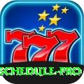 cricket match schedule Royal APK v1.2.3