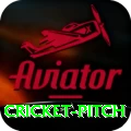 cricket pitch Apps (Tools & Injectors) Master v1.4.8