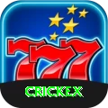 crickex VIP Edition v3.8.4