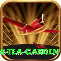 hile ilam tea garden Master Pro v5.7.2