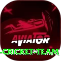 hong kong cricket team Premium v3.9.4