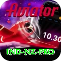 ind nz Gaming Master