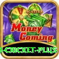 india bangladesh cricket Casino King v1.2.5