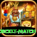 india pakistan cricket match Pro Max v1.7.1
