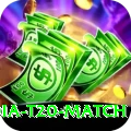 india t20 match Max v1.1.5