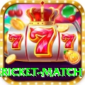 international cricket match Plus Edition v1.6.4