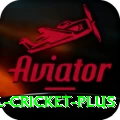 international cricket Plus v3.4.9