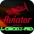 international cricket Casino Turbo v4.8.5