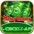 live cricket app Deluxe Pro v5.3.9