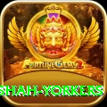 naseem shah yorkers Pro1 v1.5.4