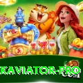 pakaviator - Gaming VIP