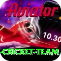 pakistan women cricket team Ultimate Pro v2.7.3