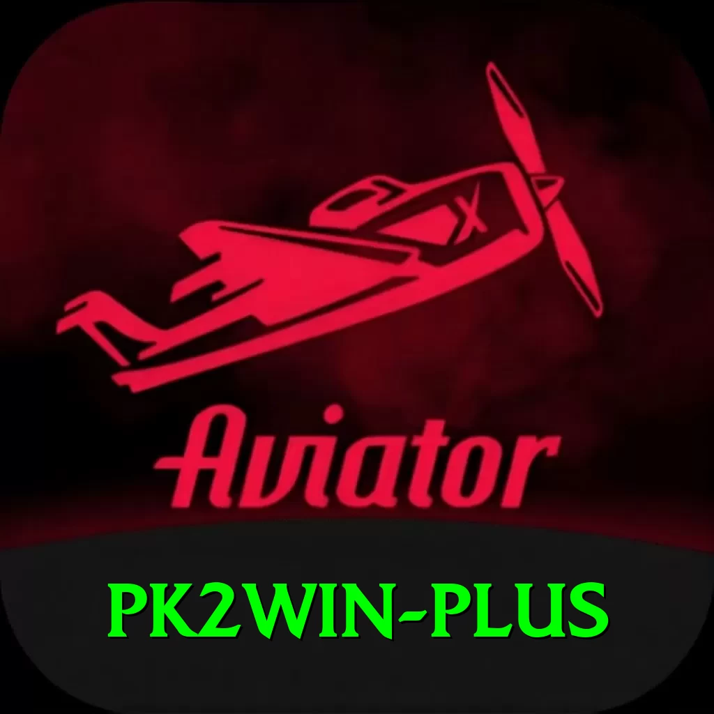 pk2win Pro Max v2.3.6 - 2