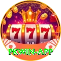 pkwin Gold Edition v4.2.6