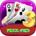PKZZ Pro1 v5.3.8