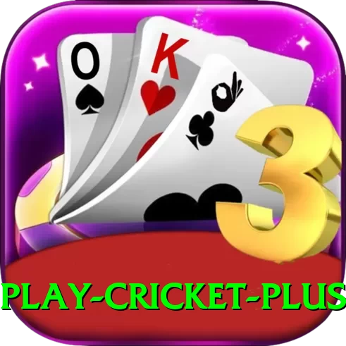 play cricket Deluxe PK v3.9.3 - 2