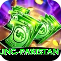 responsible gambling pakistan Games (Casino & Earning) Premium v4.1.4