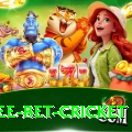 risk free bet cricket Plus v4.6.3