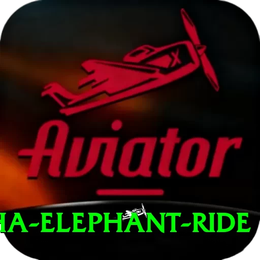 sauraha elephant ride Max Pro v4.0.5 - 2