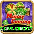 smartcric live cricket Elite v5.6.8