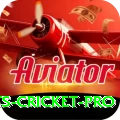 sports cricket Slot Machine Mega