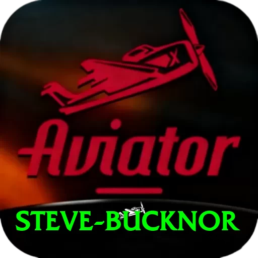 steve bucknor Master Pro v3.8.6 - 2