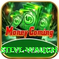 steve waugh Max v4.1.7