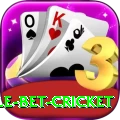 treble bet cricket Pro Edition v1.5.3