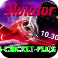 virat kohli cricket APK King v4.2.7