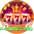 willow cricket Live Casino VIP